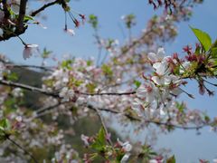 -幕燕滨江·长江观音景区