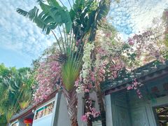 -深圳国际园林花卉博览园