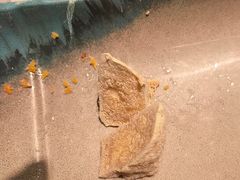 -潮界(LU·ONE凯德晶萃广场店)