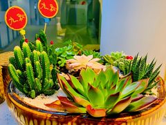 -九秋茶铺(三里屯店)