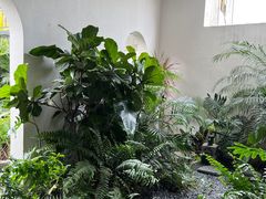 -漫笙舍Manse·咖啡·民宿