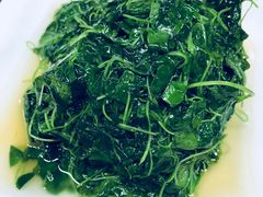 -协和菜馆(凤凰街店)