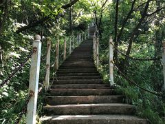 -陕西省红河谷森林公园