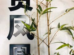 -贵凤凰贵州米粉(望京店)