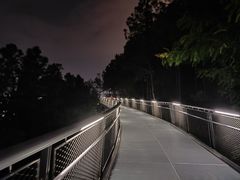 -仙岳公园