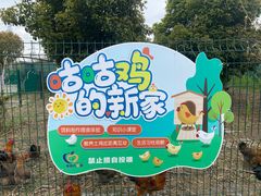 -菊园百果园