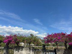 -西双版纳傣族园