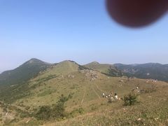 -大姆山草场