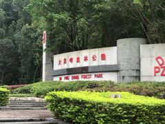 -大屏嶂森林公园