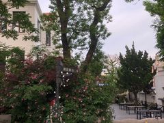 -阿兹凯乐·老洋房西餐