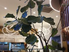 -萃茶师(琅西店)