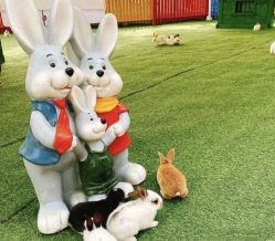 -萌宠亲子动物乐园(槐房万达店)