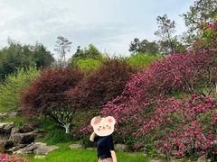 -秀丽东方