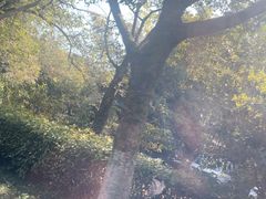 -旅马餐厅(茅家埠店)