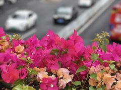 -广州花园酒店