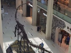 -迪拜水族馆及水下动物园