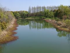 -南湖湿地公园