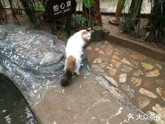 -龙达温泉生态城