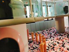 -龙格亲子游泳·水育早教运动中心(绿城店)