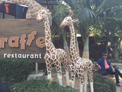 -清迈夜间动物园