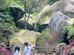 -火炉山森林公园