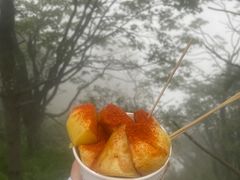-峨眉山风景名胜区