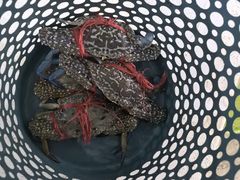 -叶姐海鲜(棋子湾店)