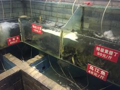 -老凯俚酸汤鱼(鸿通城店)