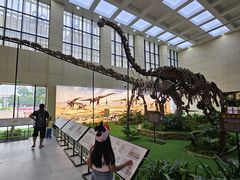 -广西壮族自治区博物馆