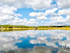 -塞罕坝国家级自然保护区