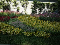 -晓港公园
