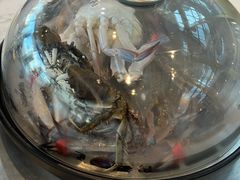 -半岛听涛蒸汽海鲜自助(K11店)