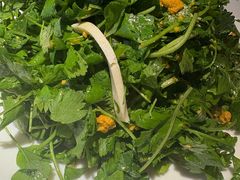 山芹菜拌海胆-日丰园海肠水饺·老字号大连海鲜(和平广场店)