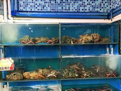 水产区-蚝专家(北滘店)