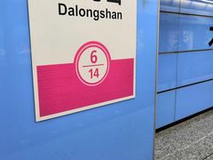 -大龙山(地铁站)