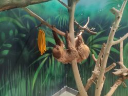 -未来动物城动物主题公园(大悦城店)