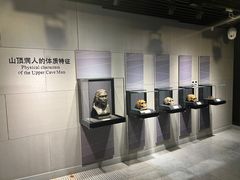 -北京周口店北京人遗址博物馆