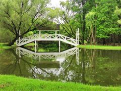 -上海共青森林公园