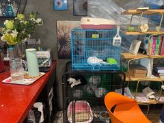 -SAH健身私教工作室(紫东店)