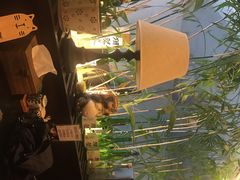 -花狸日本料理(柏庐广场店)