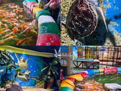 -顺德南宏海立方海洋公园