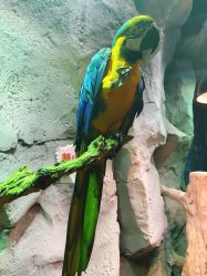 -Zoolung Zoolung动物主题公园(海信广场店)