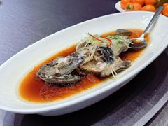 广式蒸老虎斑-骏莱海鲜鱼港(五角场店)