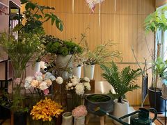 -蝶舍·MAISON PAPILLON