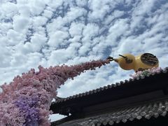 -茅山东方盐湖城景区