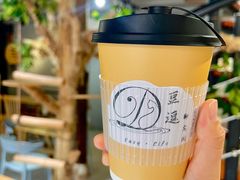 -豆逗聊愈猫阁Easy Life
