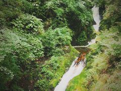 -牛背梁国家森林公园