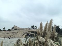 -盘龙城国家考古遗址公园