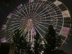 -南昌之星摩天轮