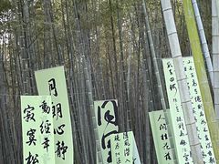 -同里国家湿地公园